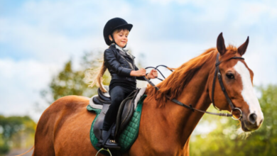 Essential Insights for Prospective Horse Owners