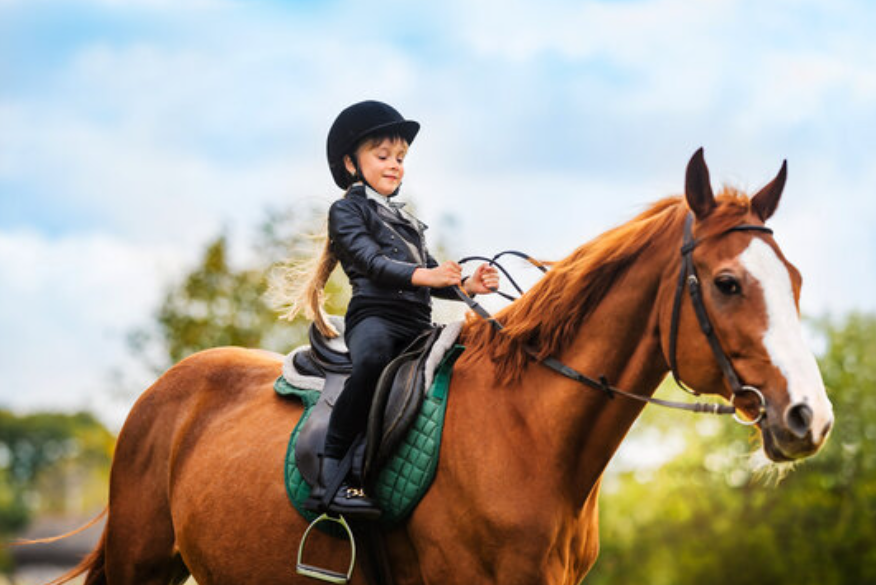Essential Insights for Prospective Horse Owners