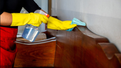 Secondhand Furniture & Bedbug Risks: What to Know