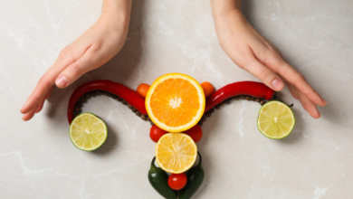 What is Proliferative phase of menstrual cycle?
