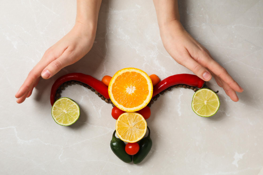 What is Proliferative phase of menstrual cycle?