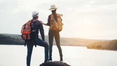 Choosing the Ideal Companion for Your Journeys