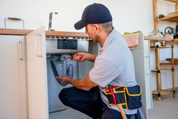 Plumbing Services in North Shore: Emergency Plumbing Facts You Should Know