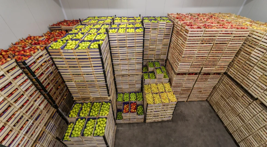 The Environmental Benefits of Reusable Shipping Crates