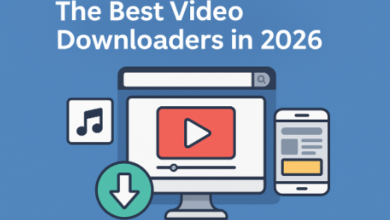 Online Video Downloader VidsSave - Best Free 2026 Tool