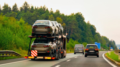 Auto Transport Services: Everything You Need to Know Before Shipping Your Car