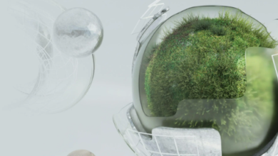 Mastering Software Licensing for Sustainable Digital Growth