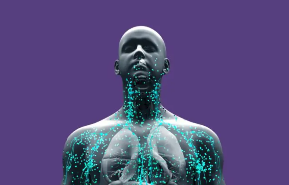 Multiple Sclerosis Symptoms and Immune Disorders: Understanding the Connection