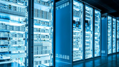 PraHost Dedicated Servers: Features, Pricing, and Performance Explained
