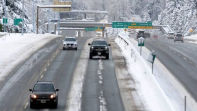 The Map Says Rain, the Ramp Says Ice: Why Lower Mainland Snowfall Maps Miss the Surfaces That Actually Freeze
