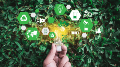 Reasons to Bring About More Sustainability Changes in Your Company