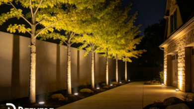 Well Lights vs. Wall Wash Lighting: How to Add Depth to Your Outdoor Space