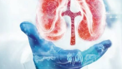 Stem Cell Treatment for Kidney Disease: What Patients Need to Know