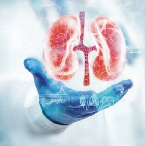 Stem Cell Treatment for Kidney Disease: What Patients Need to Know